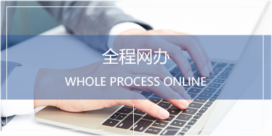 全程网办图标