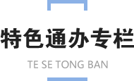 特色通办专栏图标