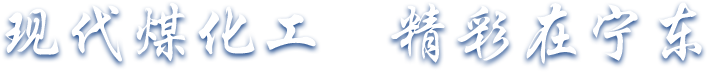描述图片